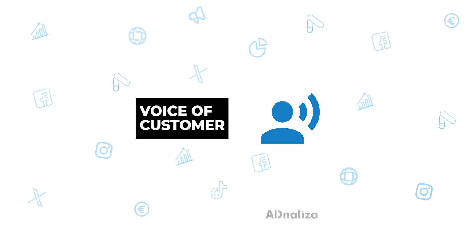 Voice of Customer